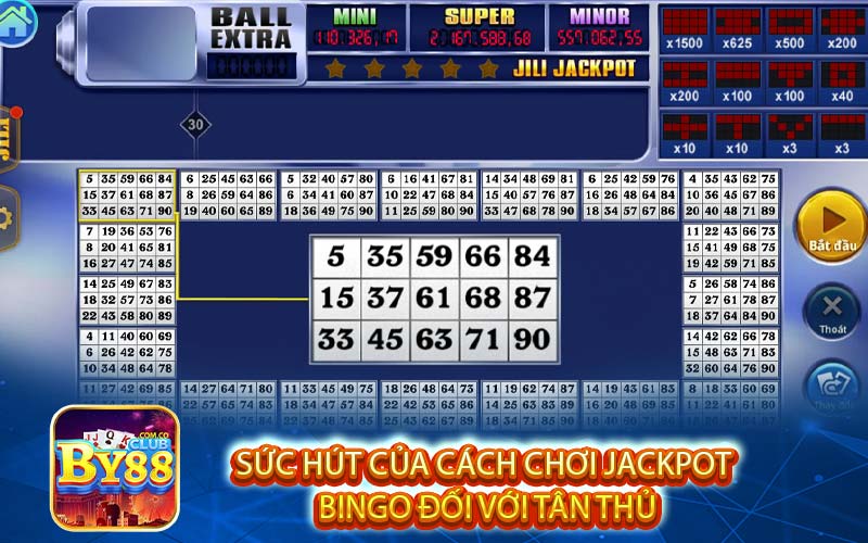 Sức hút của cách chơi jackpot 
bingo đối với tân thủ